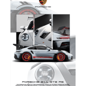 PORSCHE 911 GTR SPECIAL COMBO #2