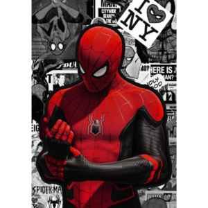 SPIDER MAN SPECIAL COMBO #2