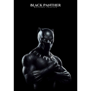 BLACK PANTHER SPECIAL EDITION COMBO #2