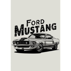 FORD MUSTANG SPECIAL EDITION COMBO #2